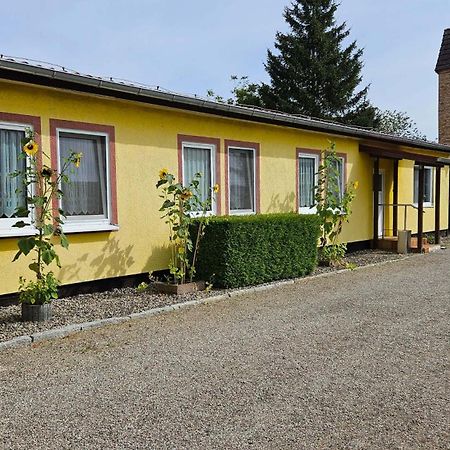 Ferienwohnungen "Zur Schamper Muehle" Gotthun Dış mekan fotoğraf